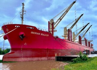 El Iberian Bulker ya carga pino y eucalipto a granel