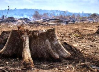 Inscriben para el tercer taller sobre cambio climático