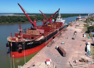 El Puerto uruguayense registra su mayor actividad