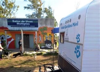 Zoonosis llevó adelante más de 1.000 castraciones