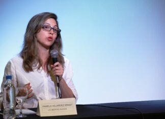 Especial para LA CALLE. Velardez pondrá el acento en la reforma económica