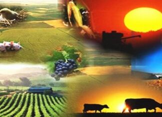 Sobre agro. Comienzan las Cuartas Jornadas de Investigación