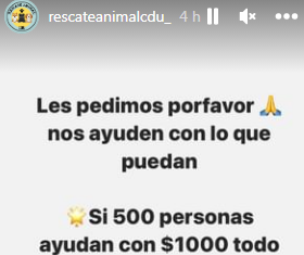 Rescatistas solicitan ayuda para continuar con su actividad por los animales