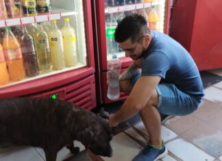 Las pequeñas cosas que ocurren a nuestro alrededor