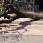 Pagina 4 destrozos por la tormenta