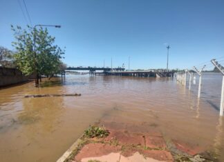 Creciente. El río ya llegó a los 7,10 metros