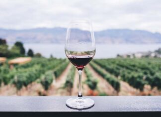 Día Nacional del Vino, considerada la bebida nacional