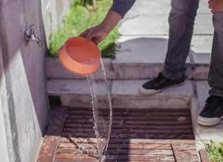 Dengue: Intensifican tareas de vigilancia y diagnóstico