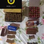 Pagina 7 Incautaron armas y varias municiones en allanamiento