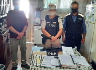 Procesan a una banda por venta ilegal de caballos