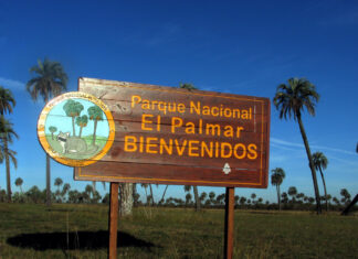 Incertidumbre entre el personal del Parque Nacional El Palmar: Trabajan sin contratos ni directivas
