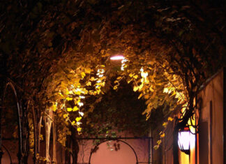 El Palacio retomará las tradicionales veladas nocturnas