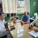 Oliva en vialidad (1)