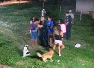 Dudas sobre el accionar de un policía en un incendio