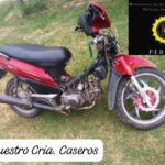 Pagina 7 Incautaron tres motos y redujeron a un motociclistaa