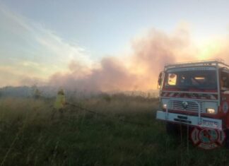 Bomberos intervinieron en dos incendios de pastizales