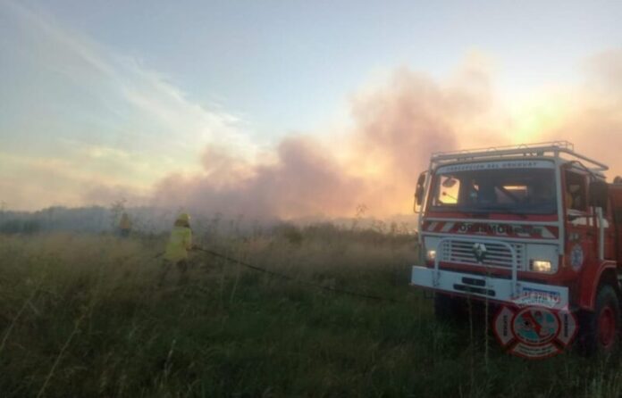 WhatsApp Image 2024-01-04 at 22.47.02 (1)