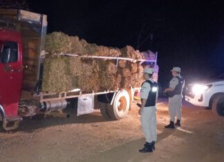 Prefectura secuestró más de cinco toneladas de tabaco en Misiones