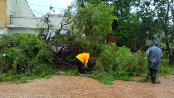 WhatsApp Image 2024-01-16 at 18.49.32