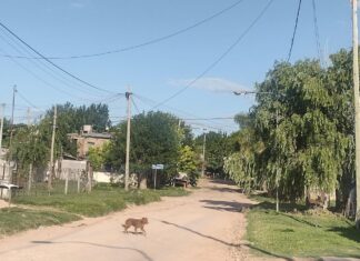 INFORMACIÓN EXCLUSIVA: El hombre baleado está grave luego de varias horas de cirugía