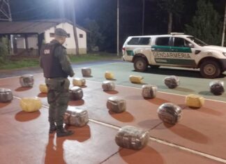 Gendarmería retiró más de 300 kilos de marihuana del mercado del narcotráfico