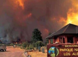 Nación suma 60 brigadistas y un avión observador para contener el incendio forestal en el parque Los Alerces