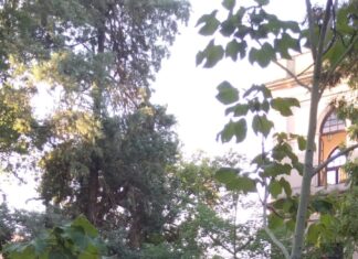 Comenzaron a brindarse las visitas guiadas al Colegio del Uruguay