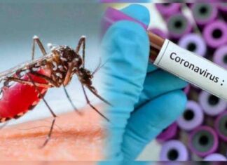 Actualización Epidemiológica: Dengue y COVID-19 en la Provincia de Entre Ríos