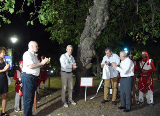 Colocaron cartelería en la morera que recuerda la Batalla de Caseros
