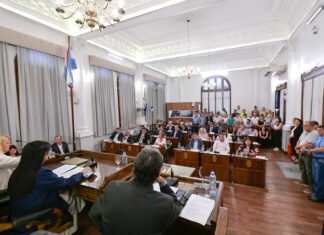 El Senado aprobó la emergencia educativa e ingresaron las reformas del Código Fiscal y Ley Impositiva