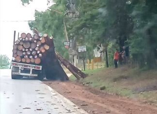 Un camión perdió la carga de troncos en acceso a la ciudad