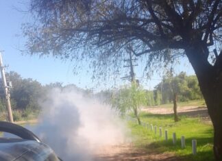 Continúa el plan de control y prevención del dengue en Concepción del Uruguay