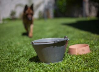 Siguen en aumento los casos de dengue y covid-19