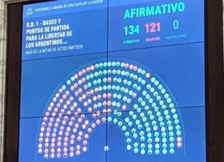 Ley Ómnibus: El oficialismo logró aprobar el artículo que declara 6 emergencias