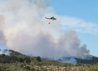 Incendio en Los Alerces: Ya se quemaron más de 6.000 hectáreas
