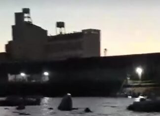 Rescataron a seis personas tras el hundimiento de una lancha