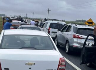 Cinco personas murieron tras caer a un arroyo