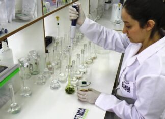 Jornada de actualización técnica