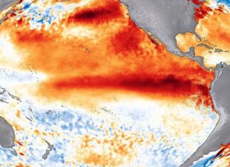 El Niño podría empezar a debilitarse. Un cambio trascendental que podría producir el regreso de La Niña