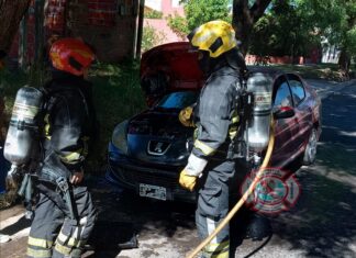 Conductor evitó que su auto quede reducido a cenizas