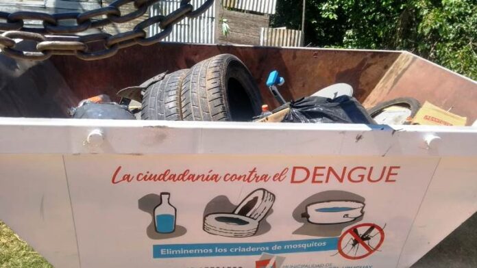 04 lucha contra el dengue1