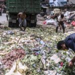 14 Alimentos arrojados a la basura