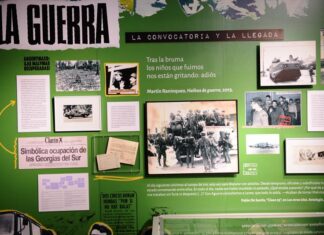 Malvinas, el gobierno libertario y los movimientos populares