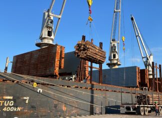 El puerto de Concepción sigue exportando y planifica diversificar sus cargas