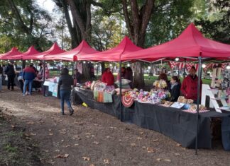 Capacitarán a emprendedores sobre atención al turista