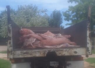 Decomisaron más de 1.500 kilos de carne en mal estado