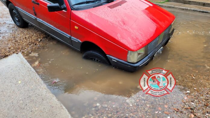 WhatsApp Image 2024-03-14 at 11.53.07