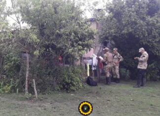 La Paz: secuestraron cortes cárnicos y dos armas de fuego