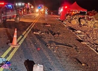 Camión que viajaba a Entre Ríos chocó un auto y causó cuatro muertes