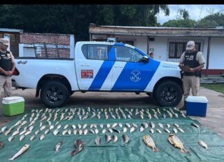 Protección de los recursos naturales: secuestraron una carga de pescados